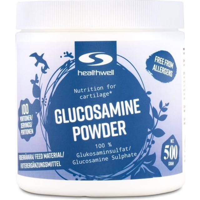 Healthwell Glucosamine Powder 500g