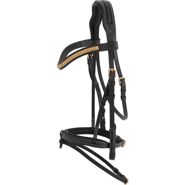 Jacson California Aachenträns