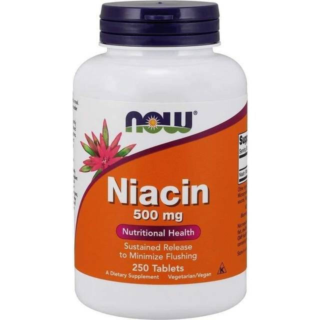 Now Foods Niacin 500mg 250 st