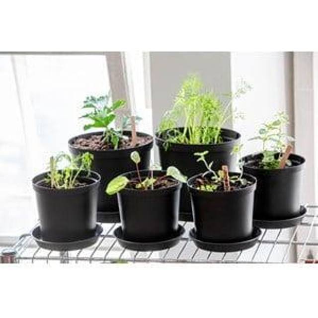 Orthex Planteringskruka Cultivate 12